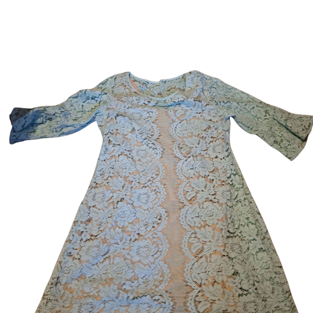 Lane Bryant Lace Dress in Blue